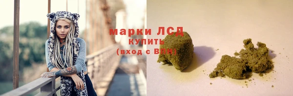 стаф Вязники