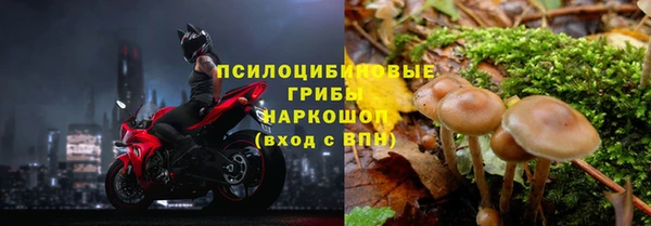 MDMA Новый Уренгой