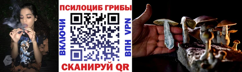 МЕГА маркетплейс  Куровское  Галлюциногенные грибы Cubensis 